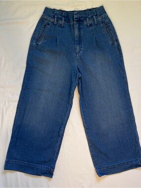 Pilcro and the Letterpress Anthropologie wide leg cropped paperbag waist jeans